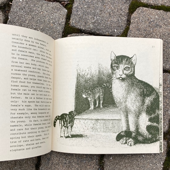 1971 Male Female Diffences in Animals Nature Education Development Center Book - Picture 4 of 14